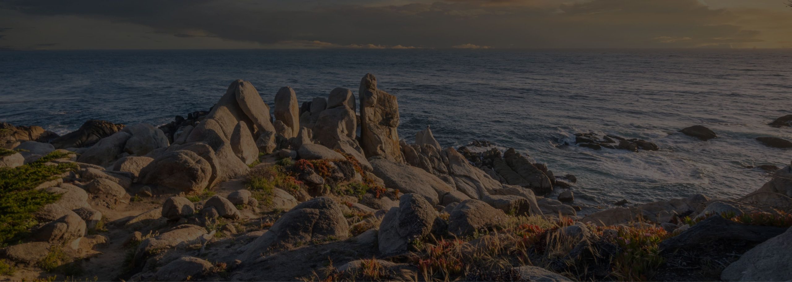 Beach and rocks from the institute's photography collection